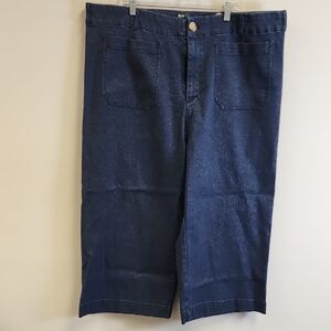 Anthropologie Midnight Blue Jeans With Sparkles